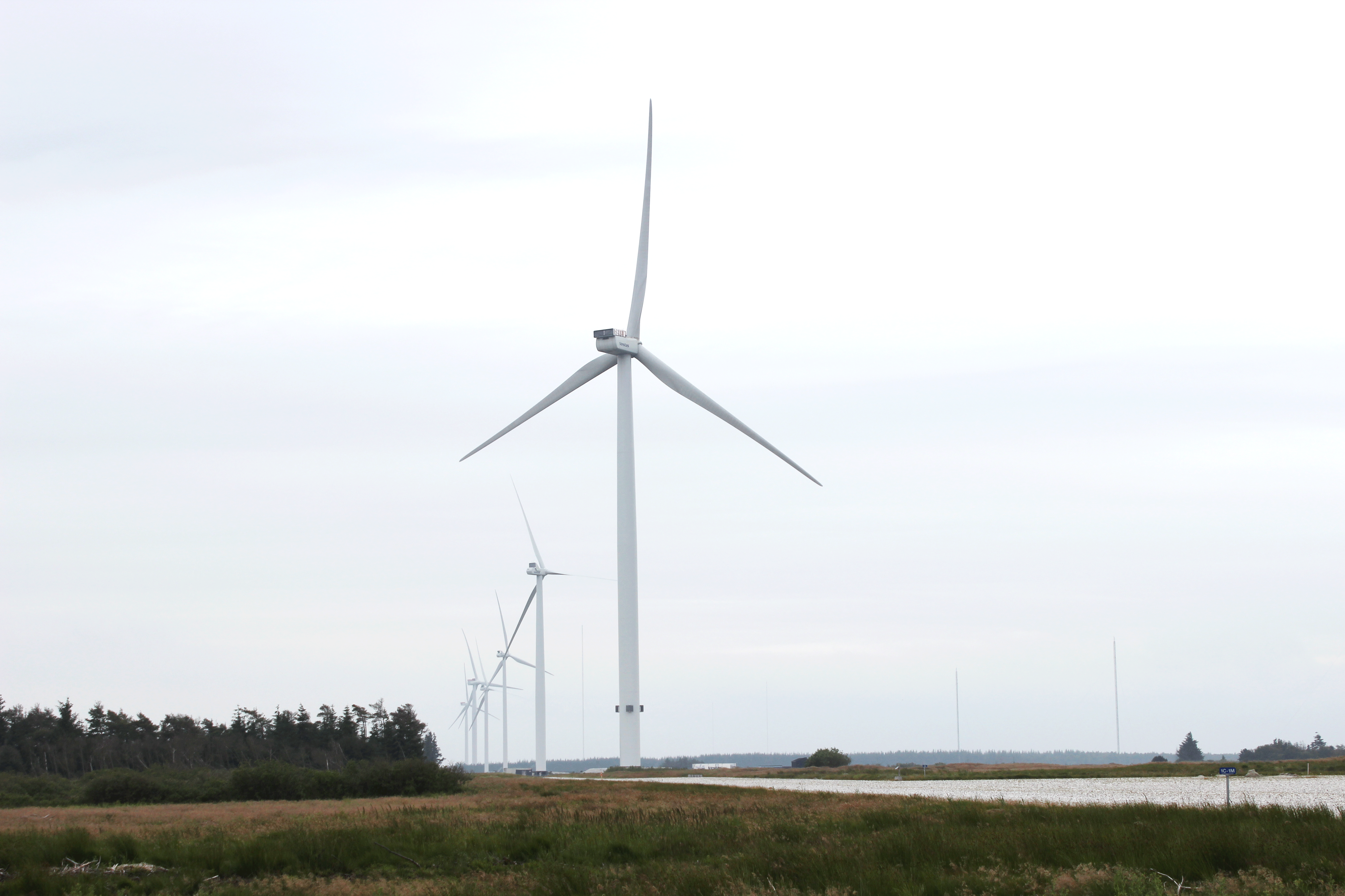 A picture of the wind turbines in Østerild